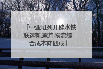 中亚班列开辟水铁联运新通道 物流综合成本降四成
